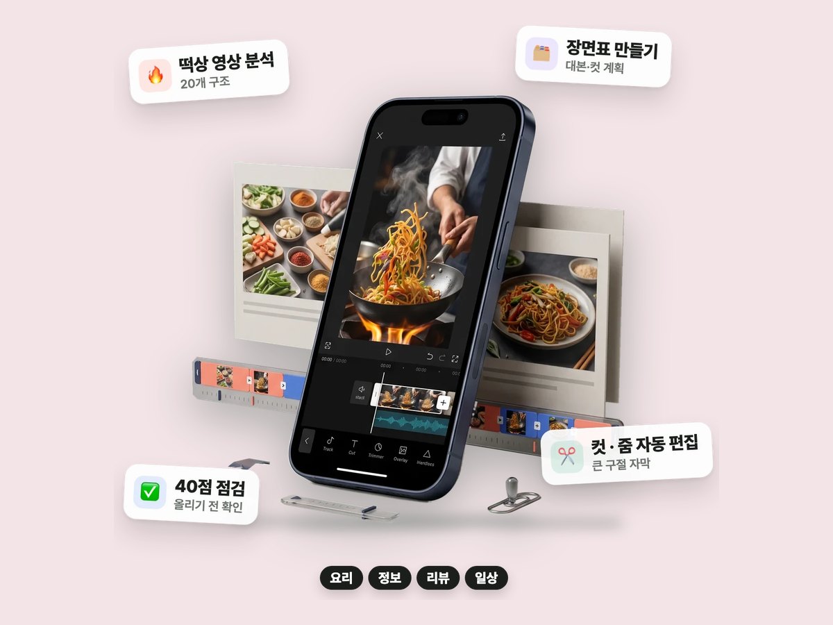 틱톡 팩